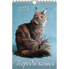 календарь настенный 6 листов 32х48 Породы Кошек на спирали 0525026 2025г