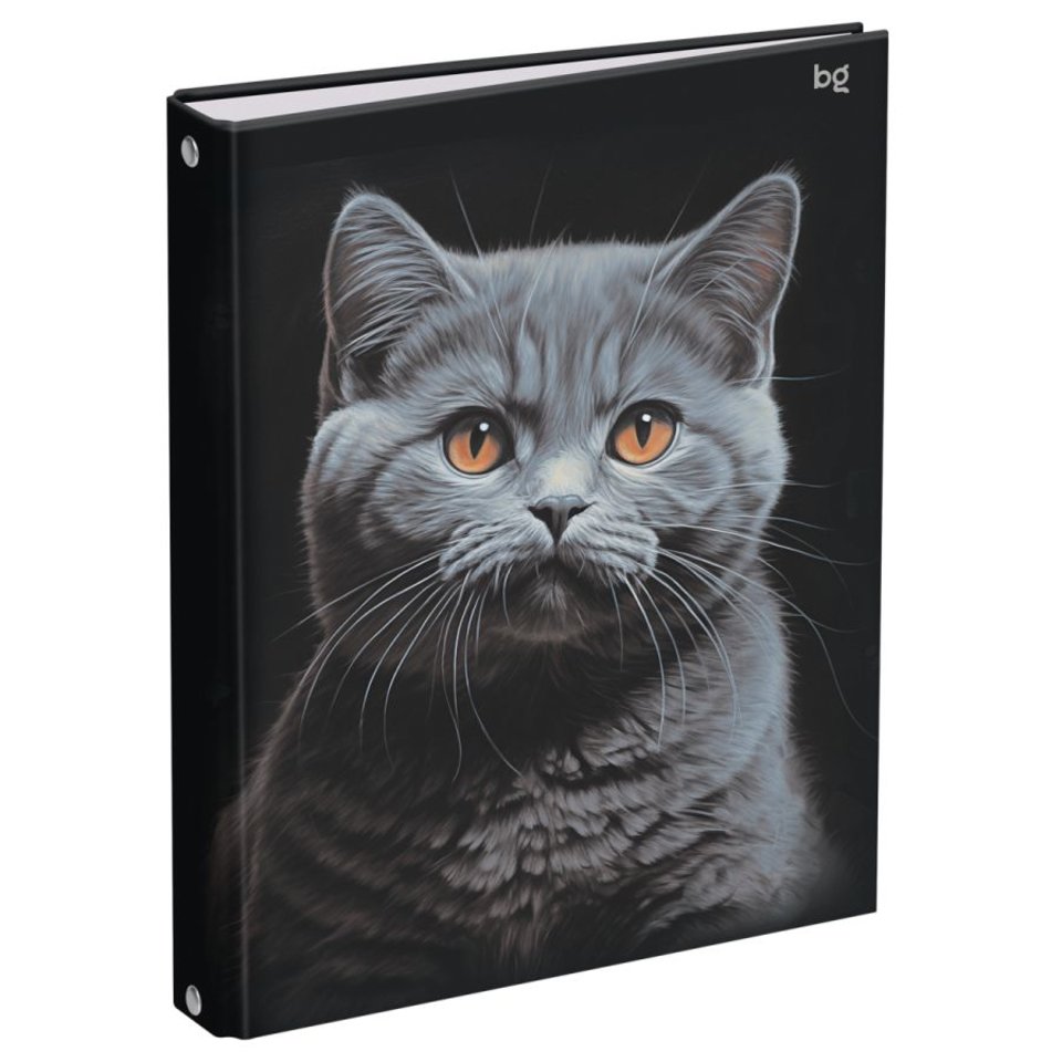 тетрадь на кольцах 160л Кот 62925 372874