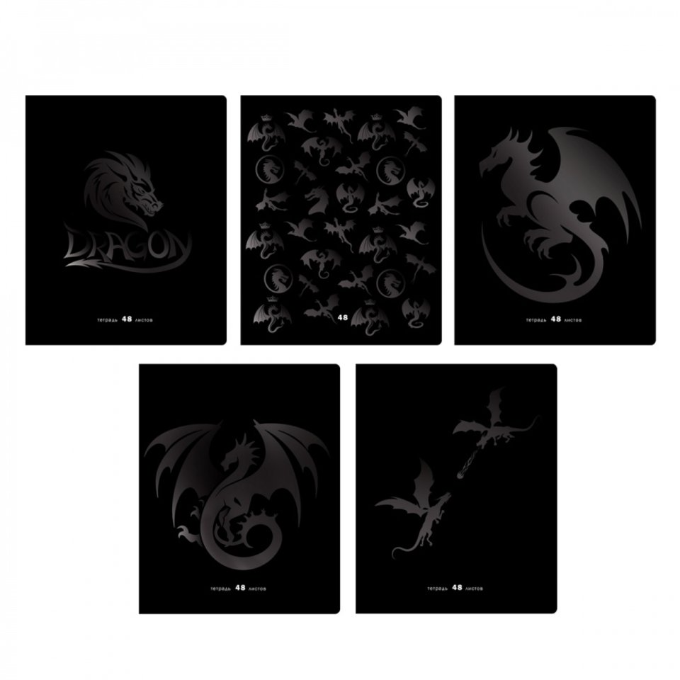 тетрадь 48л Дракон клетка 12724 360763