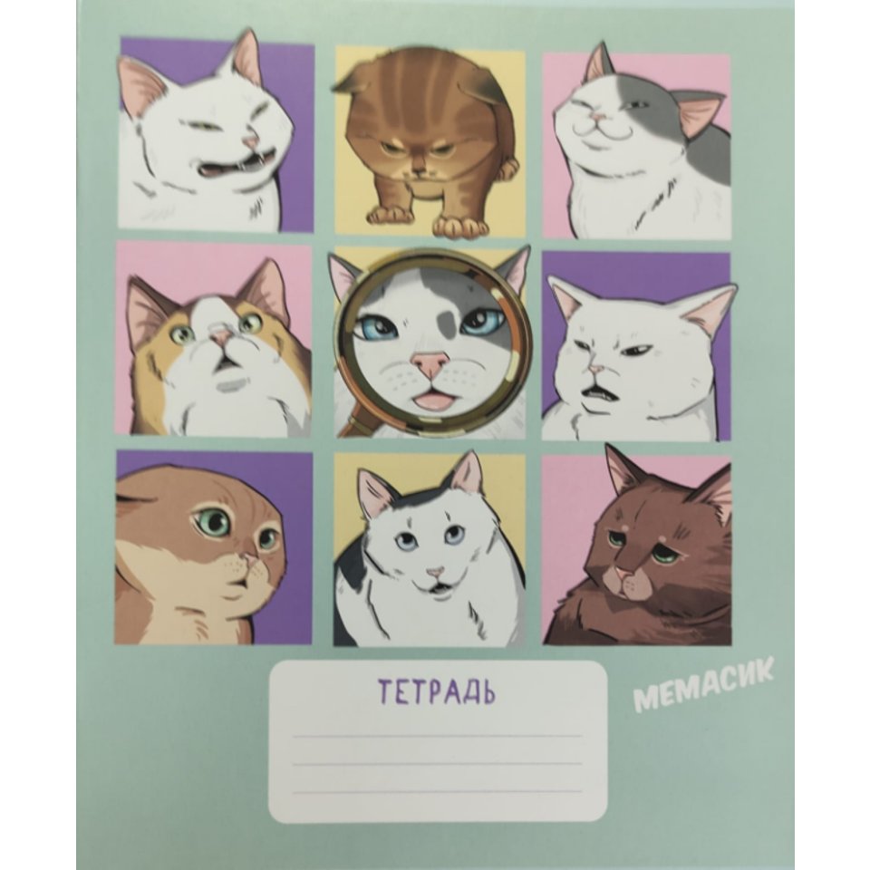 тетрадь 24 листа мемасик трв-65