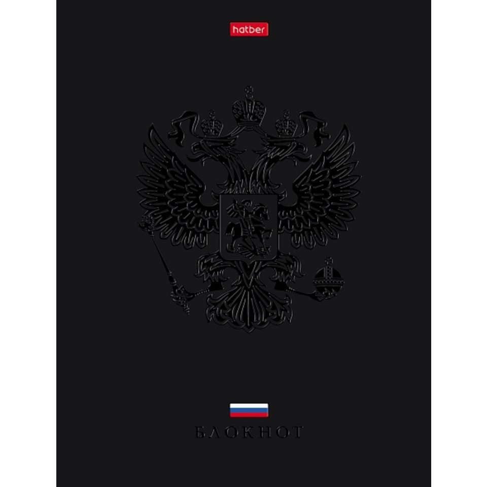 книга для записи А5 80л Россия 30989 085282