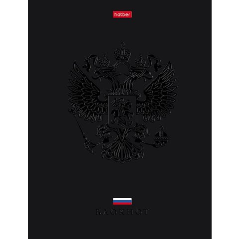 книга для записи А5 80л Россия 30989 085282