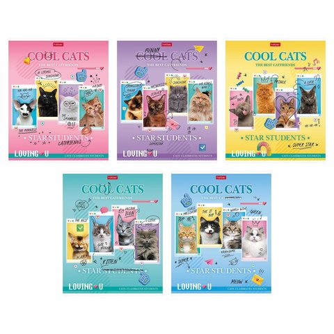 тетрадь 48л Классные коты клетка 086191