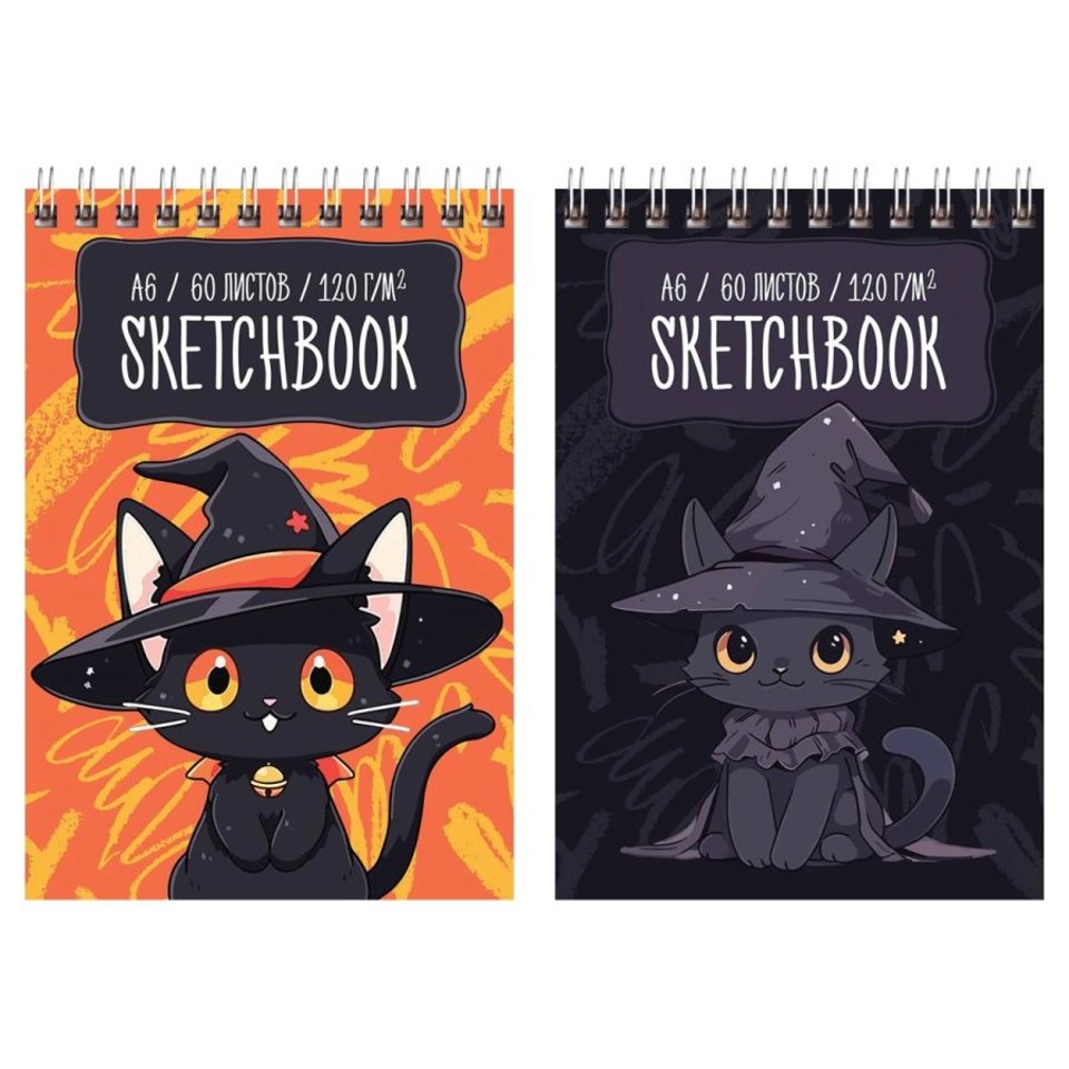 скетчбук А6 60л Чародеи гребень 120г/м 58072 365263