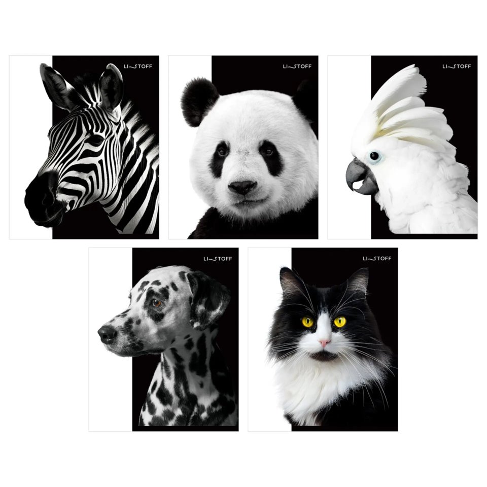 тетрадь 48л Черно-белые животные клетка тк489106