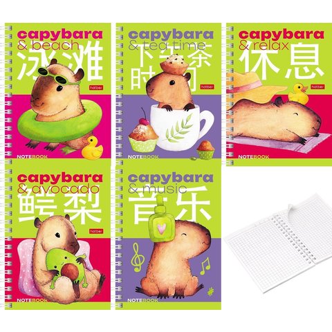 записная книжка А6 80л Капибара day гребень 086878