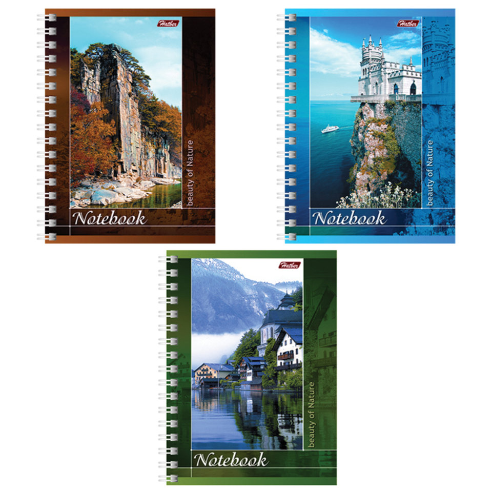 записная книжка А6 80л Пейзажи гребень 006989