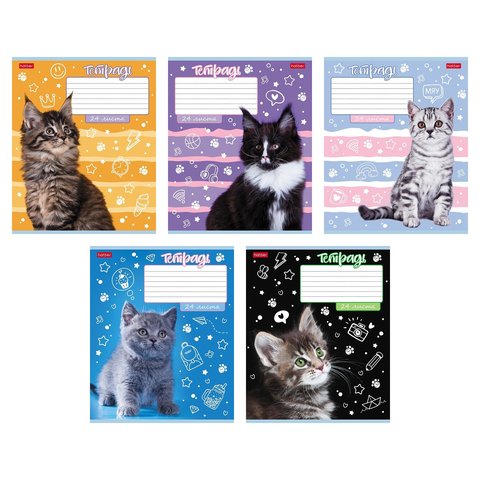 тетрадь 24 листа Ушки На Макушке в линейку 080104