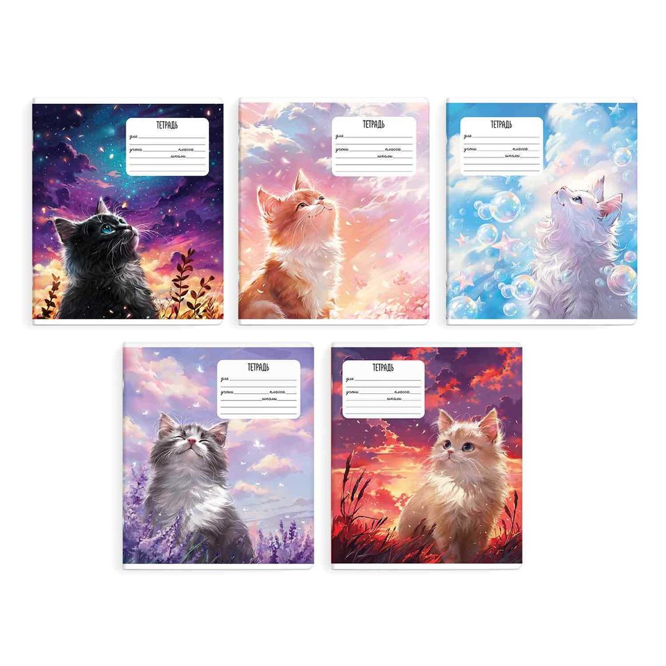 тетрадь 24 листа Мечты Кота в клетку 68536