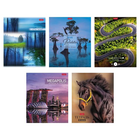 тетрадь 48л Ассорти клетка 087345