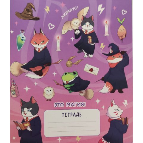тетрадь 24 листов коты маги трв-70