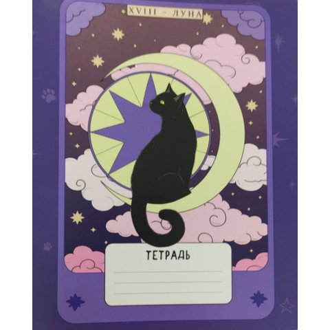 тетрадь 24 листа кошка-луна трв-60
