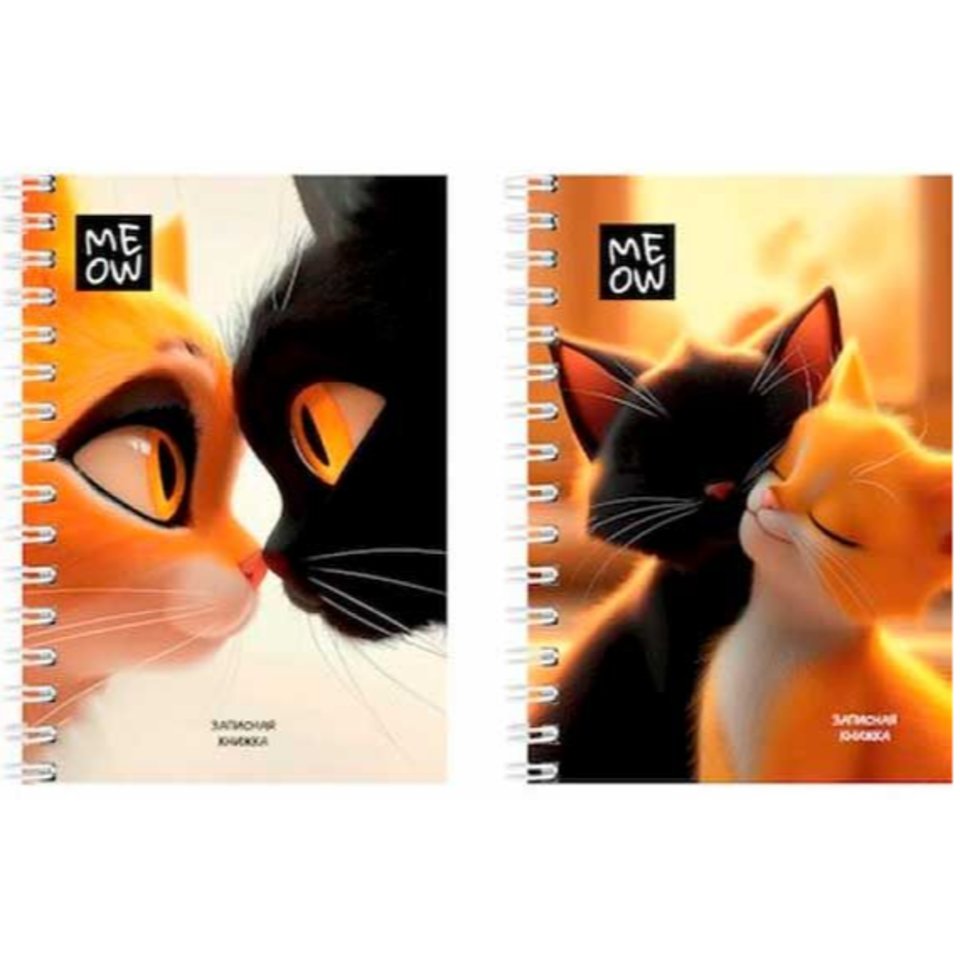записная книжка А6 120л Пара котиков гребень 3736