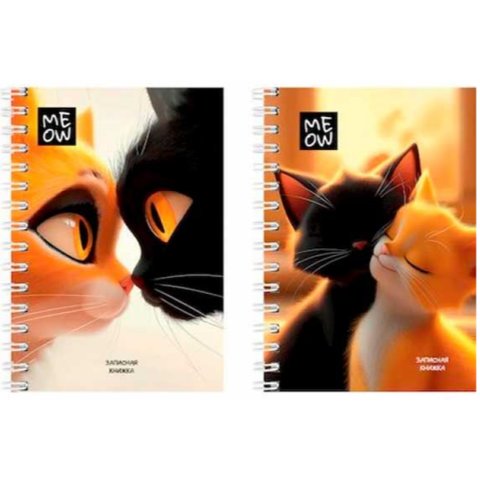 записная книжка А6 120л Пара котиков гребень 3736