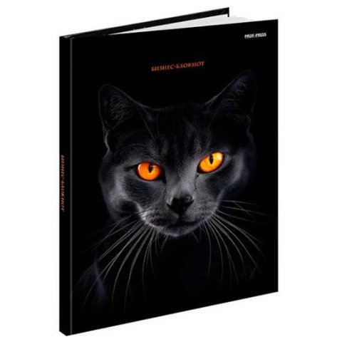 книга для записи А5 80л Черная кошка 4473