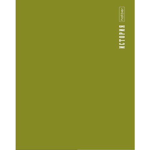 тетрадь предметная 48л История PROстиль пластик 31095 085431