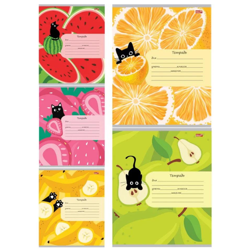тетрадь 12 листов фрукты, ягоды и кот клетка 8827