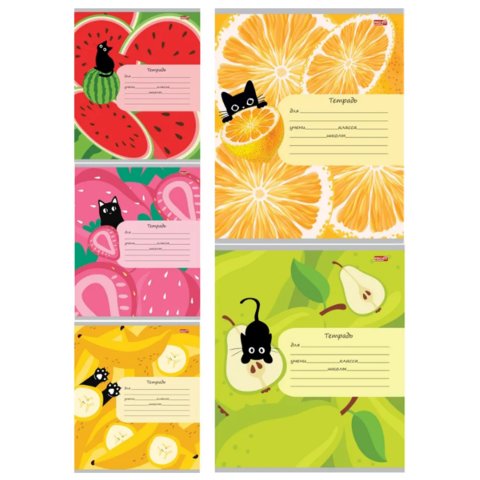 тетрадь 12 листов фрукты, ягоды и кот клетка 8827