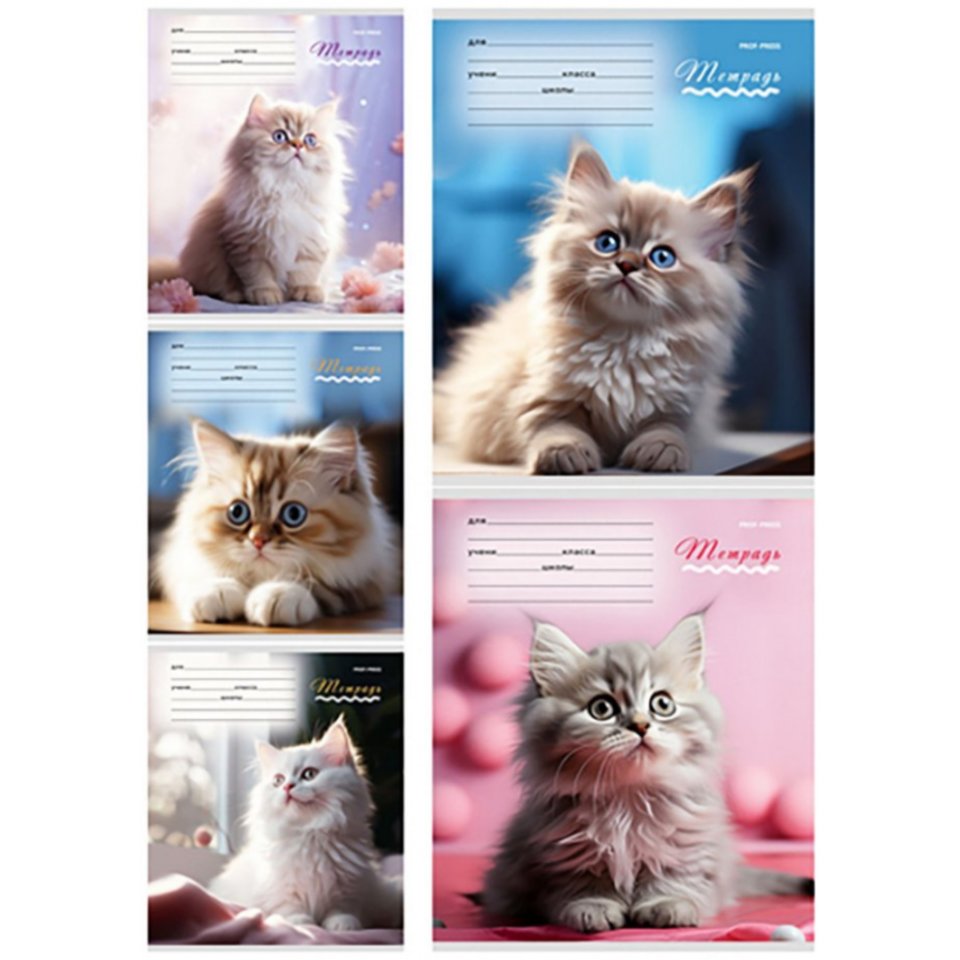 тетрадь 12 листов милые кошечки клетка 3924