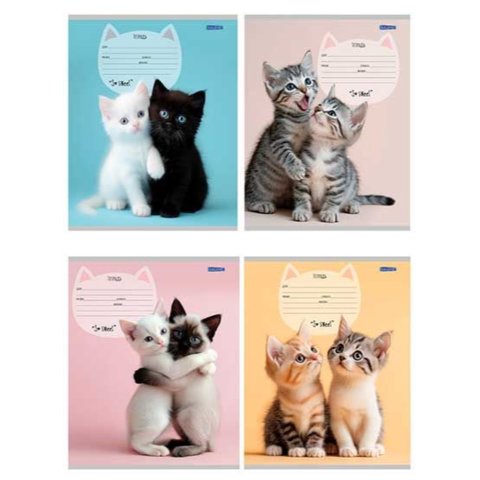 тетрадь 12 листов милые парочки котиков косая 4159