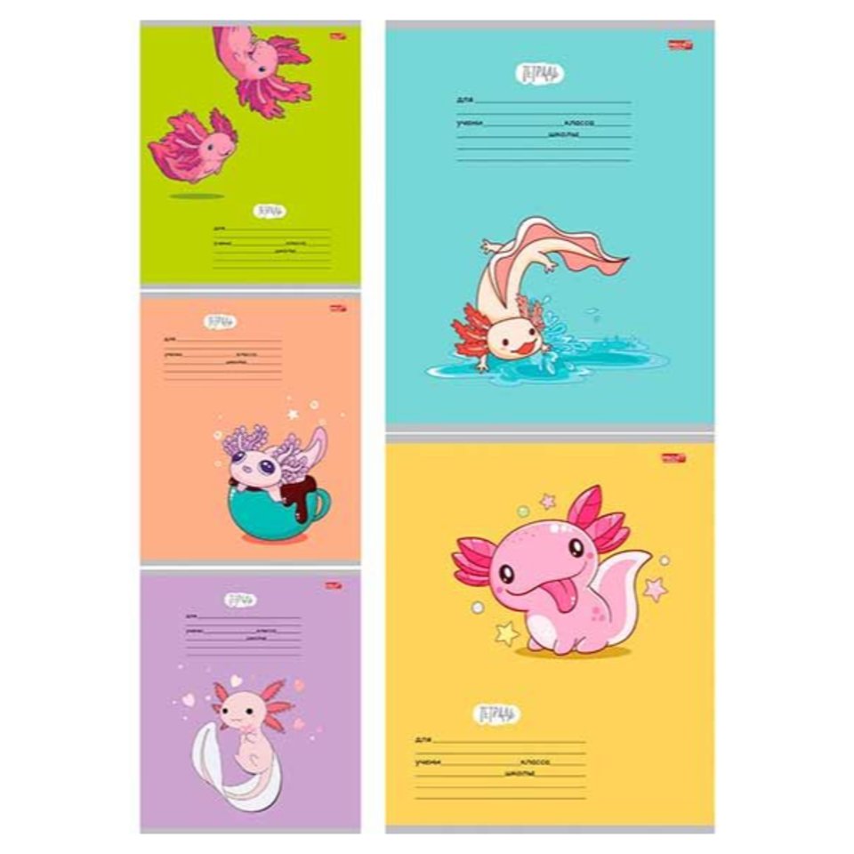 тетрадь 24 листов аксолоть клетка 5769