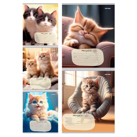 тетрадь 24 листов домашние кошечки линия 5798