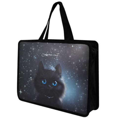 папка для тетрадей А4 с ручками Принцесса луна пластик 69275