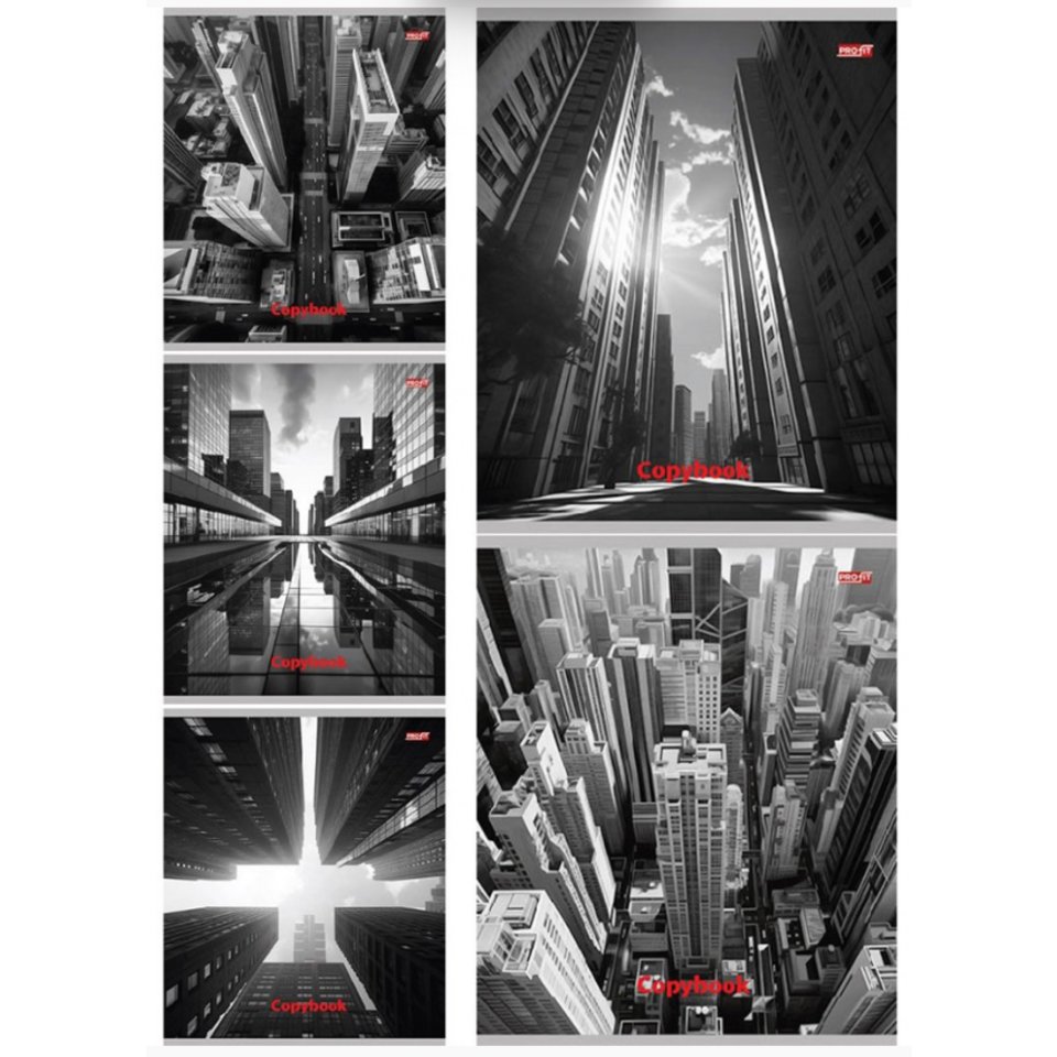 тетрадь 48л Мегаполис в черно-белом клетка 5748