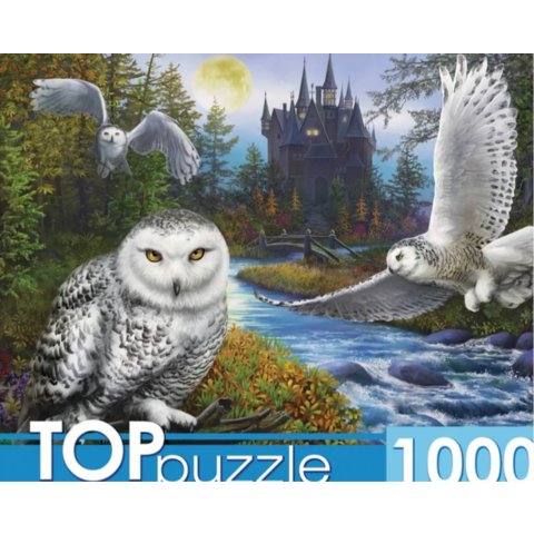 пазлы 1000 Магическая сова и замок 9941