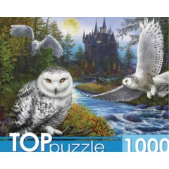 пазлы 1000 Магическая сова и замок 9941