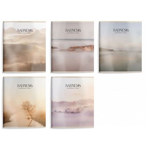 тетрадь 48 листов меланхолия клетка ток48-мнх 257278