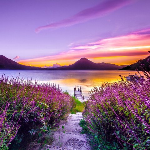 картина по номерам Лавандовый берег 40х40см х-5641