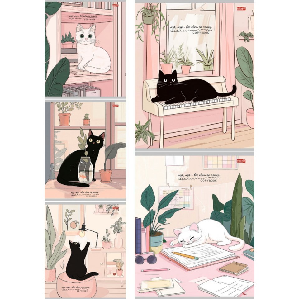 тетрадь 48л Домашние котики клетка 3796