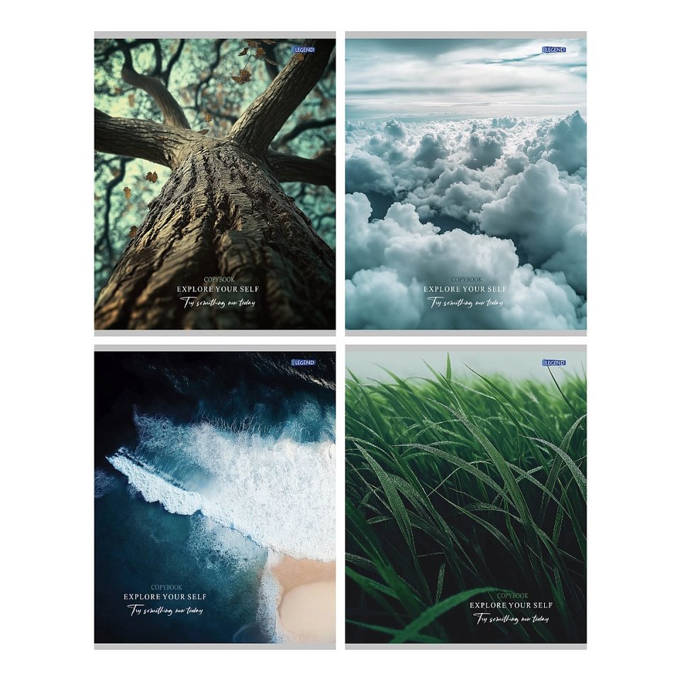 тетрадь 48л картины природы клетка 4164