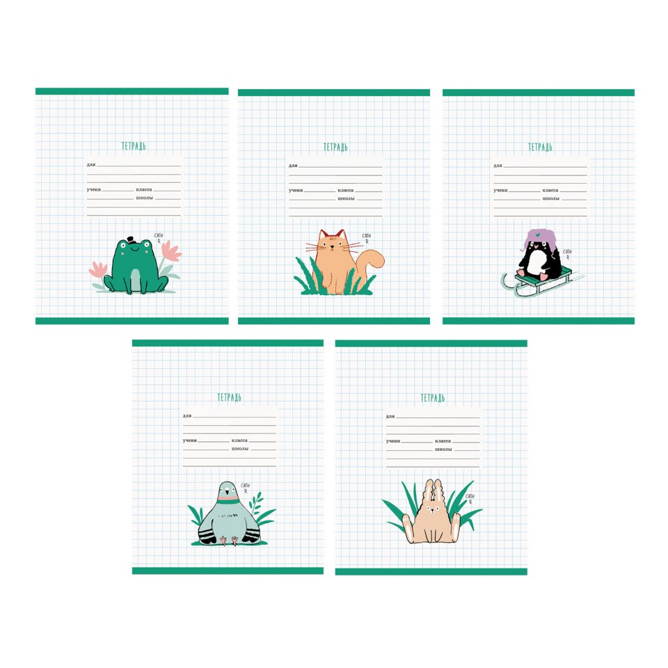 тетрадь 12 листов цветная привет крупная ткк128291