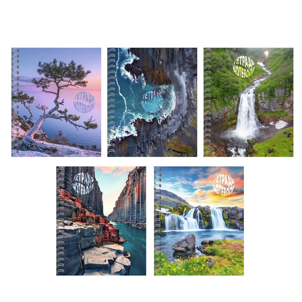 тетрадь 96 листов удивительная природа на гребне в клетку тс968815