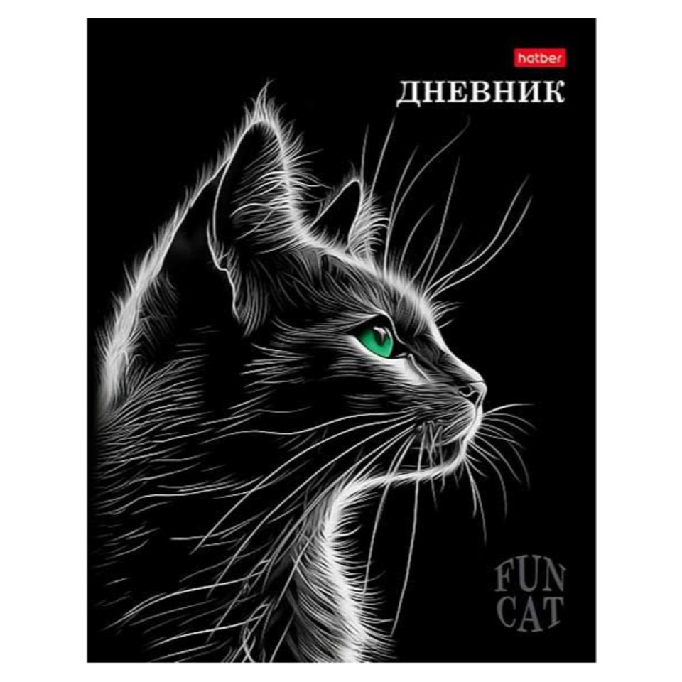 дневник 1-11кл Fun cat 33687 090905