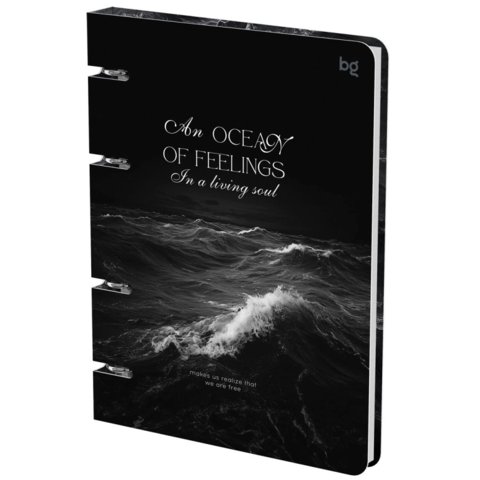 тетрадь на кольцах 120л Ocean 57859 382730