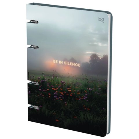 тетрадь на кольцах 120 листов Silence 57856 382727