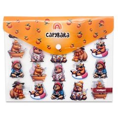 конверт на кнопке Капибара а5 dl-238