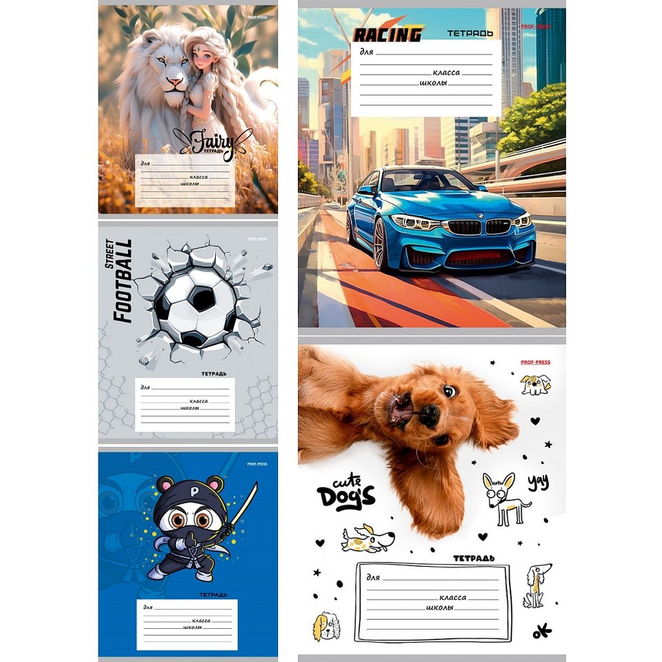 тетрадь 12 листов микс крупная клетка 5801