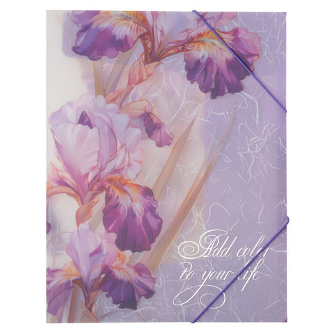 папка на резинке Ирисы А4 253470