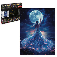 алмазная мозаика Танец при луне 30х40см 71441