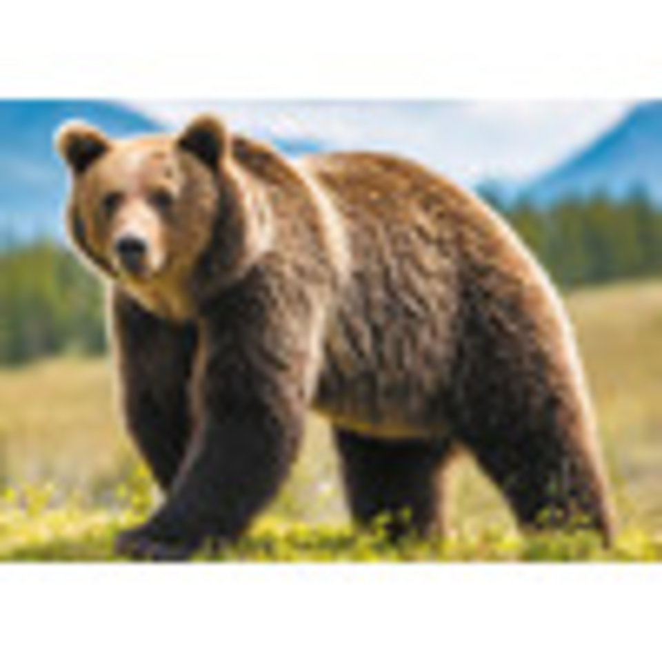 пазлы 2000 Медведь среди гор pzl-2000/44