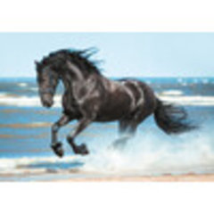 пазлы 2000 Навстречу бризу pzl-2000/45