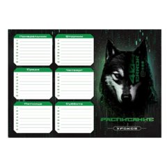 расписание уроков А4 Киберживотные 67661