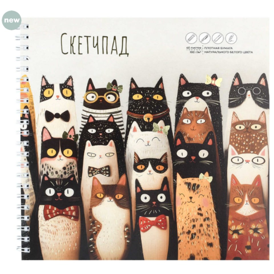 скетчбук А5 40л Веселые коты 195х195см 100г/м 72622