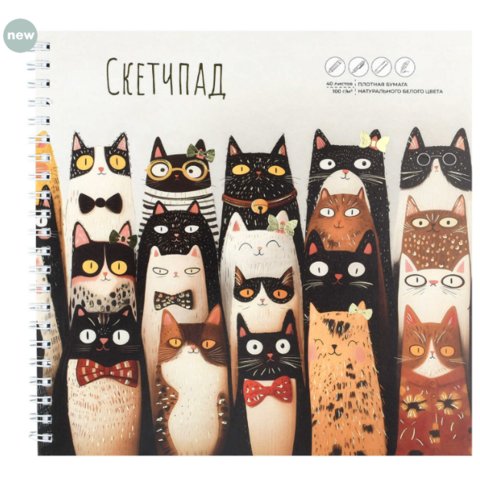 скетчбук А5 40л Веселые коты 195х195см 100г/м 72622