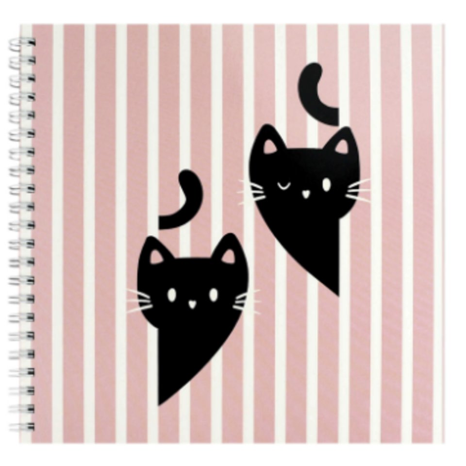 скетчбук А5 40л Два кота 195х195см 100г/м 70149