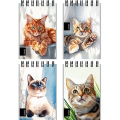 блокнот А7 40л Нарисованные котики гребень 9320